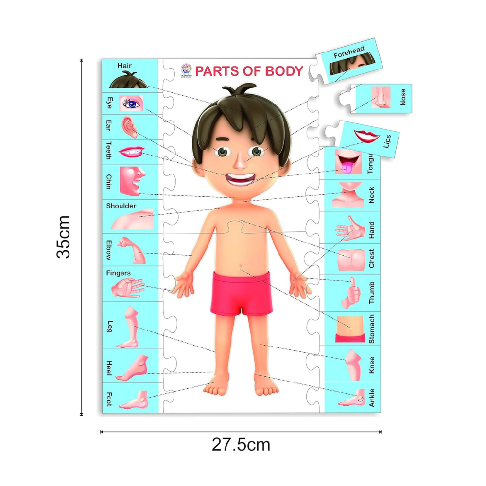 Knowledge Bank 1 Educational Puzzle Set – 5 Different Jigsaw Puzzle Combo with Alphabet, Numbers, Shapes, Colors and Body Parts for Kids